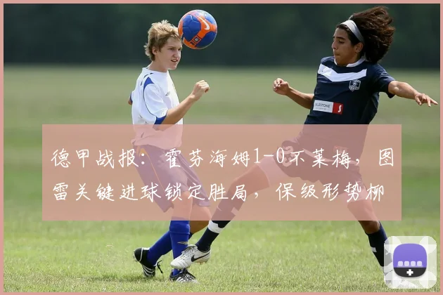 德甲战报:霍芬海姆1-0不莱梅,图雷关键进球锁定胜局,保级形势柳暗花明